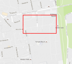 Area of Activity